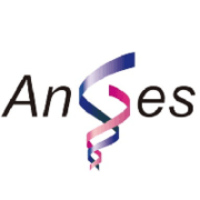 Anges Mg Inc